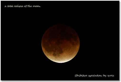 a total eclipse of the moon.jpg